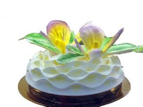 蛋糕裱花-刘科元